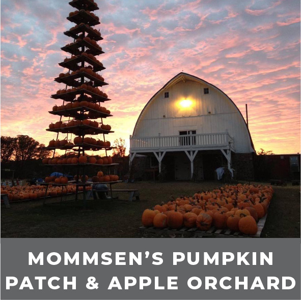 Mommsen's Pumpkin Patch and Apple Orchard