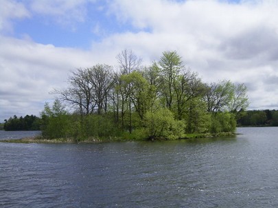 Knights Island on Rice Lake