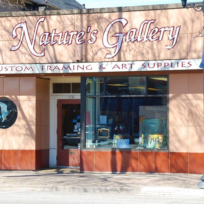 Nature's Gallery-Rice Lake Pellet Stoves, Custom Framing and Art Supplies