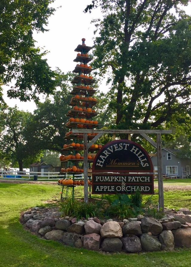 Mommsen's Harvest Hills-Pumpkin Patch and Orchard